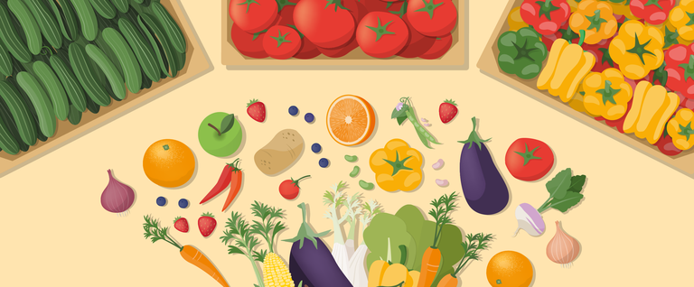 como fazer hortifruti durar mais na geladeira